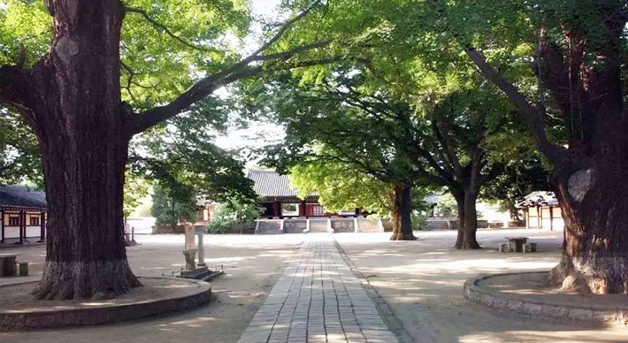 平壤、開(kāi)城、板門(mén)店雙臥三日游